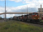 BNSF 4163 West